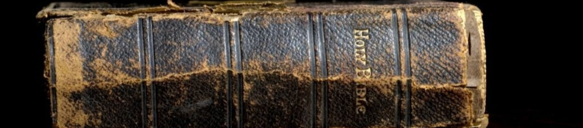 The Holy Bible Cb