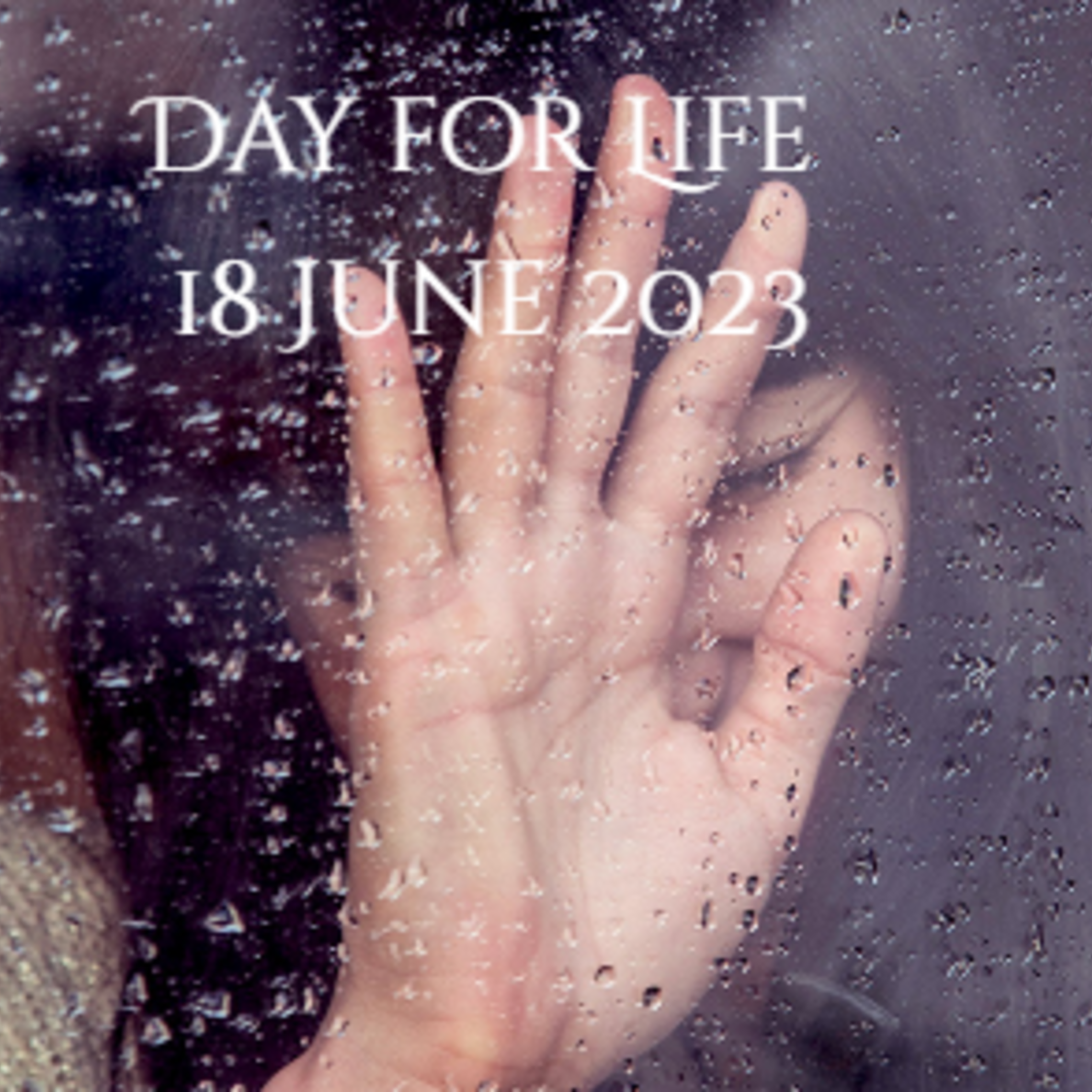Day For Life V2