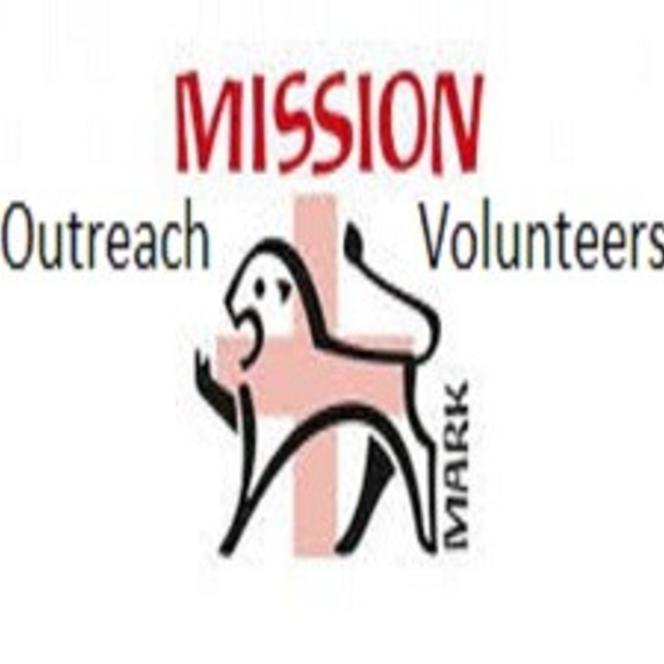 Mission Logo 2v2