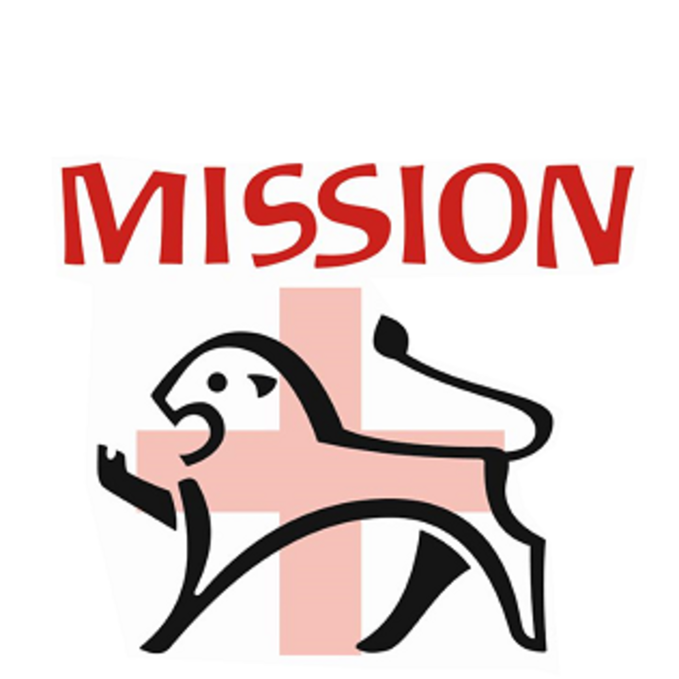 Year Of Mission Logor