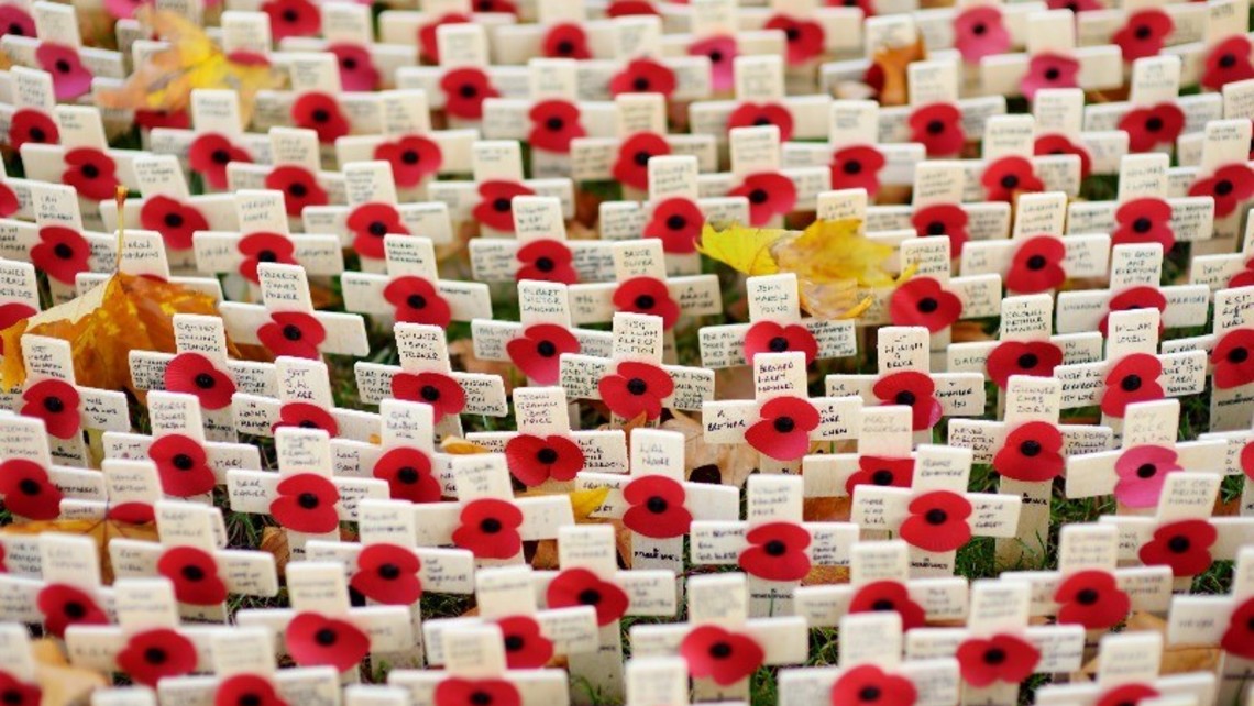 Remembrance Day800