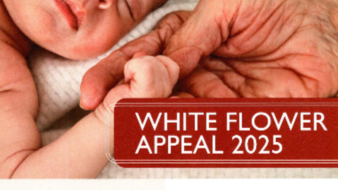 White Flowerr Appeal 2025 Poster Page 0001 Fotor 20250109202248