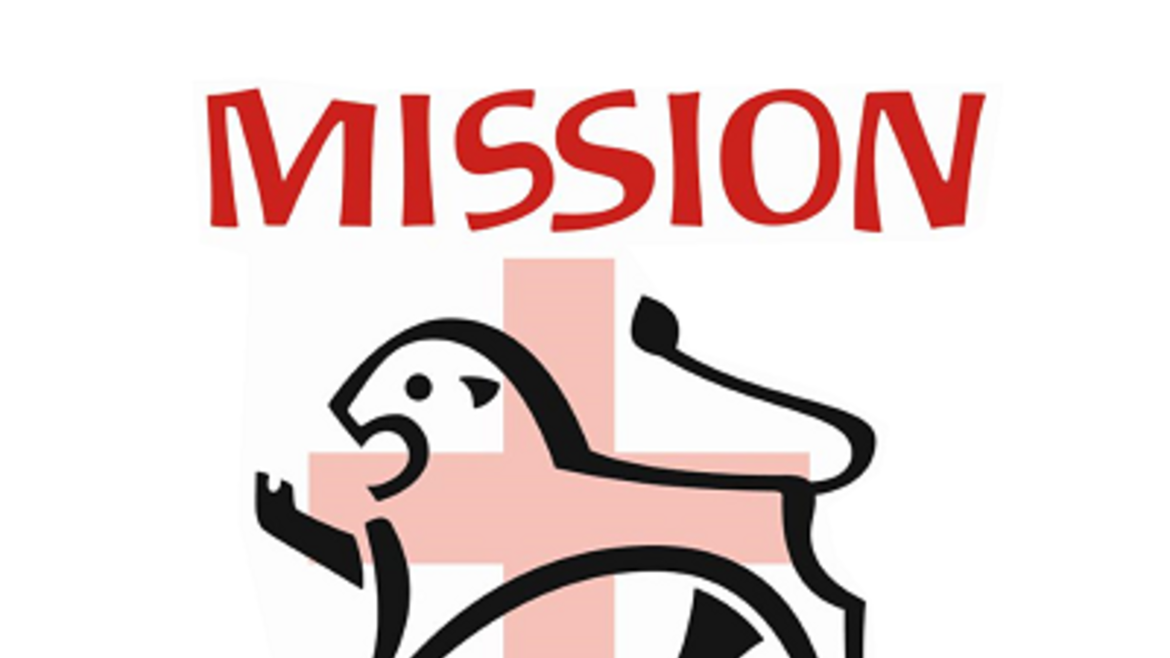 Year Of Mission Logor