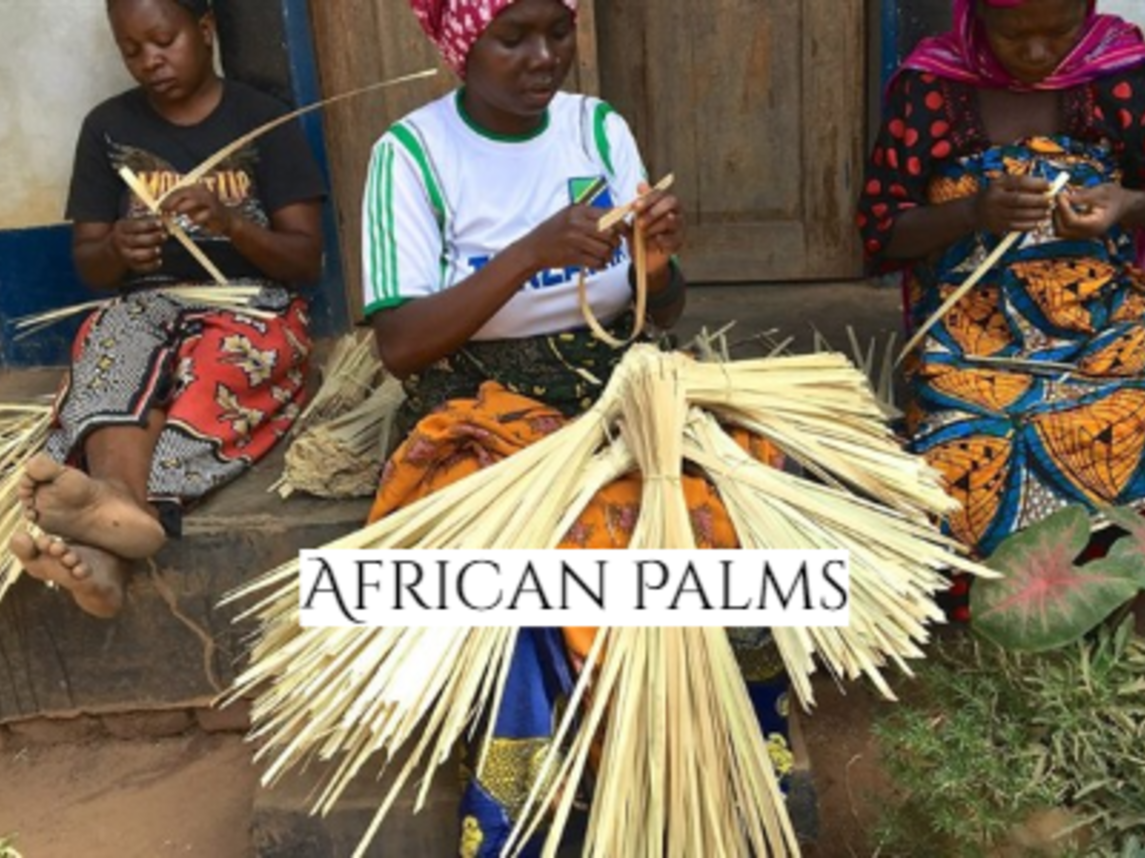 African Palms