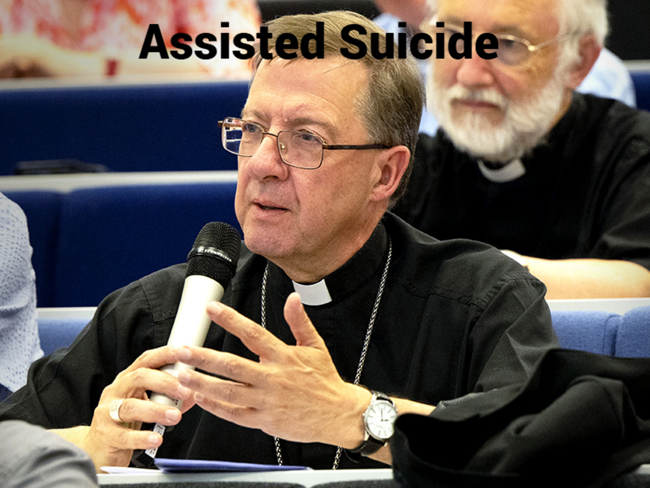Assisted Suicide V3