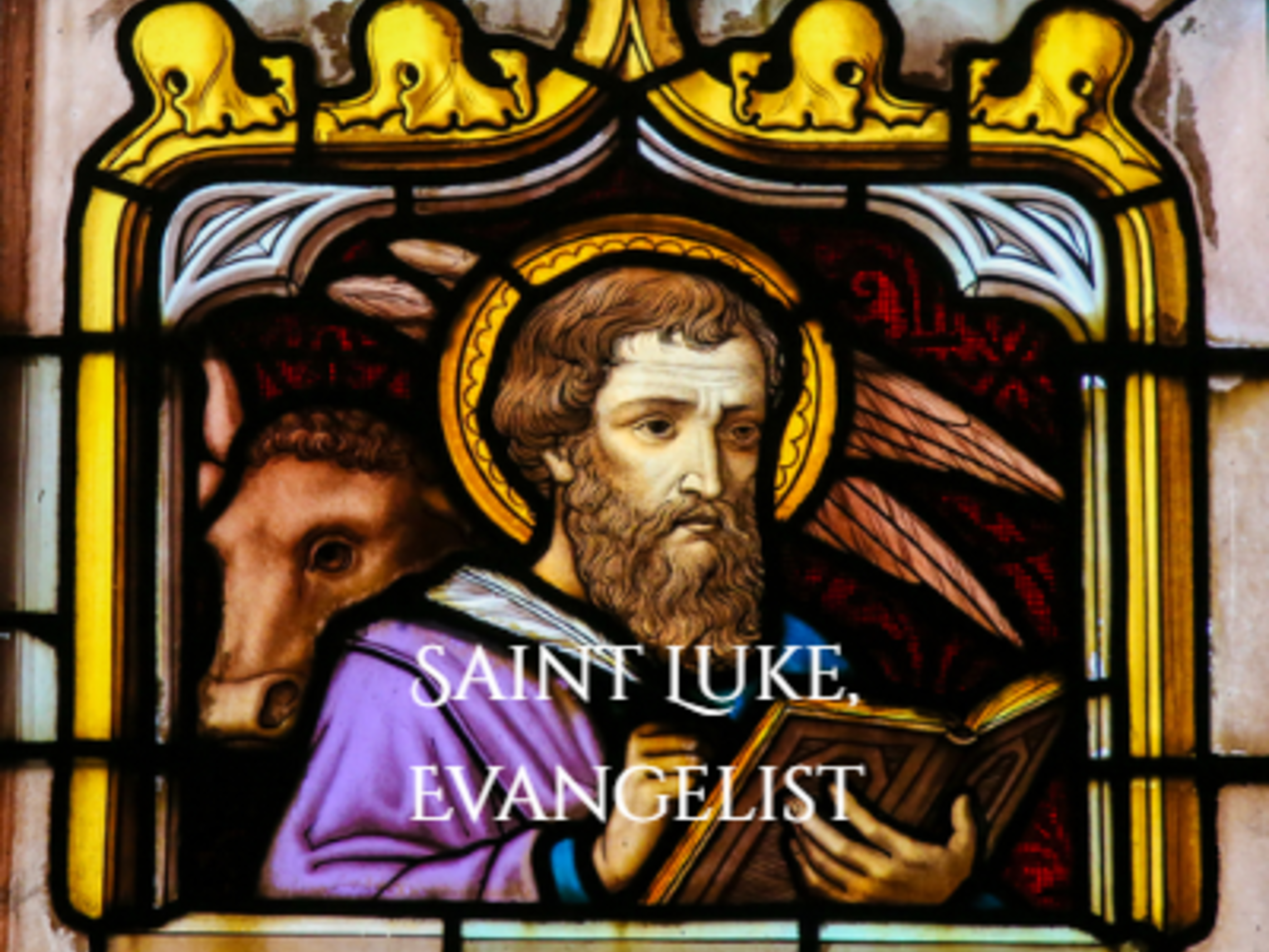 St Luke Top News